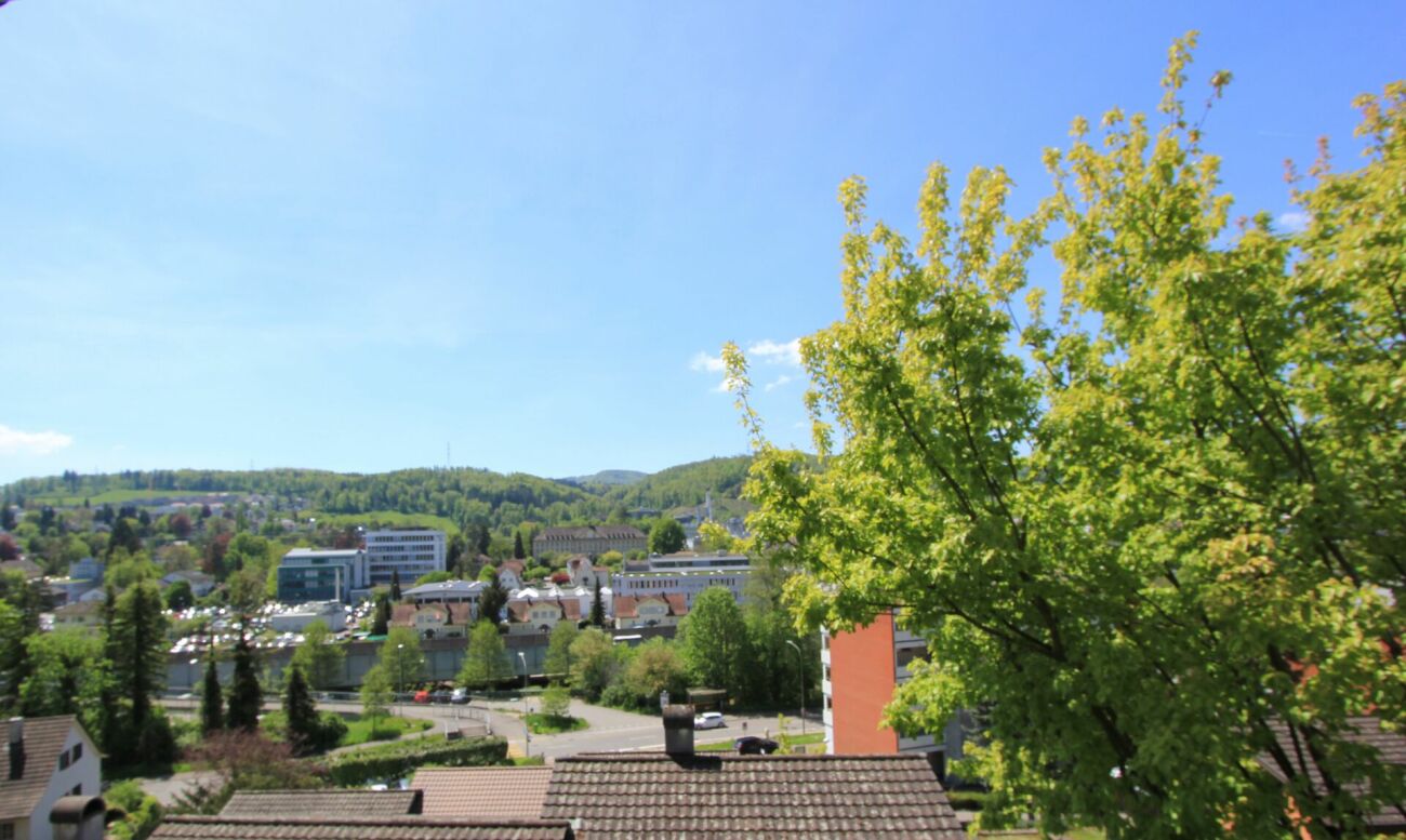 Erzenbergstrasse 98, 4410 Liestal – Liestal