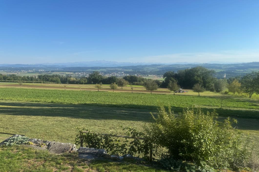 Bergerstrasse 18, 8570 Weinfelden – Weinfelden