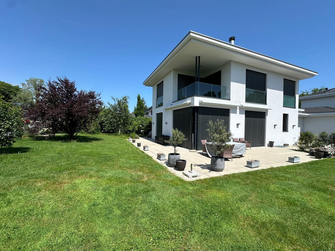 Mies – Mies