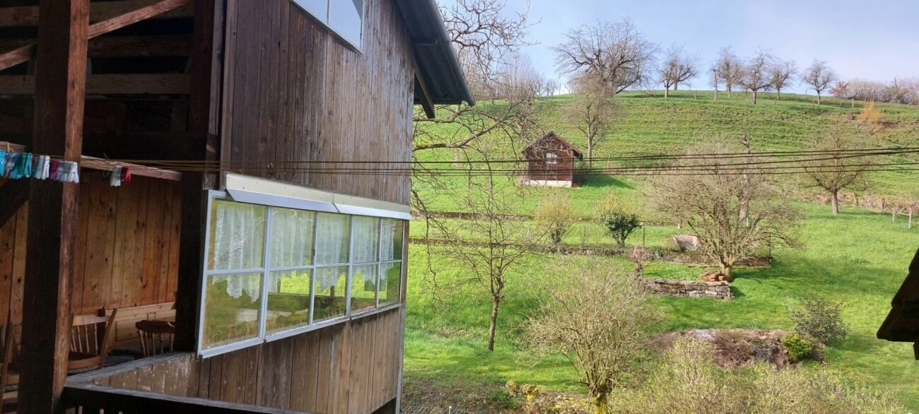 Ländliches Holzhaus mit Grünblick