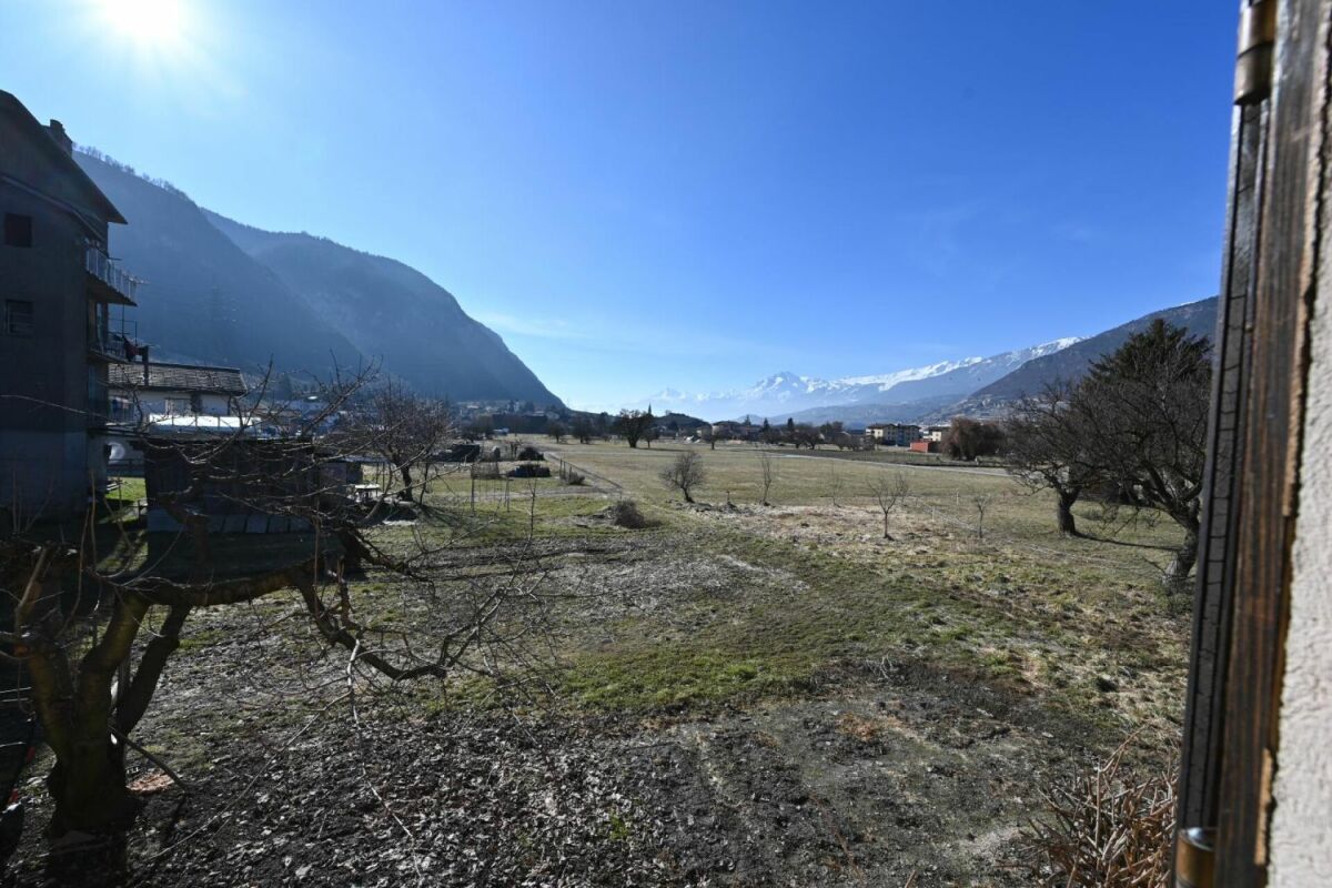 Bergblick über offene Wiese