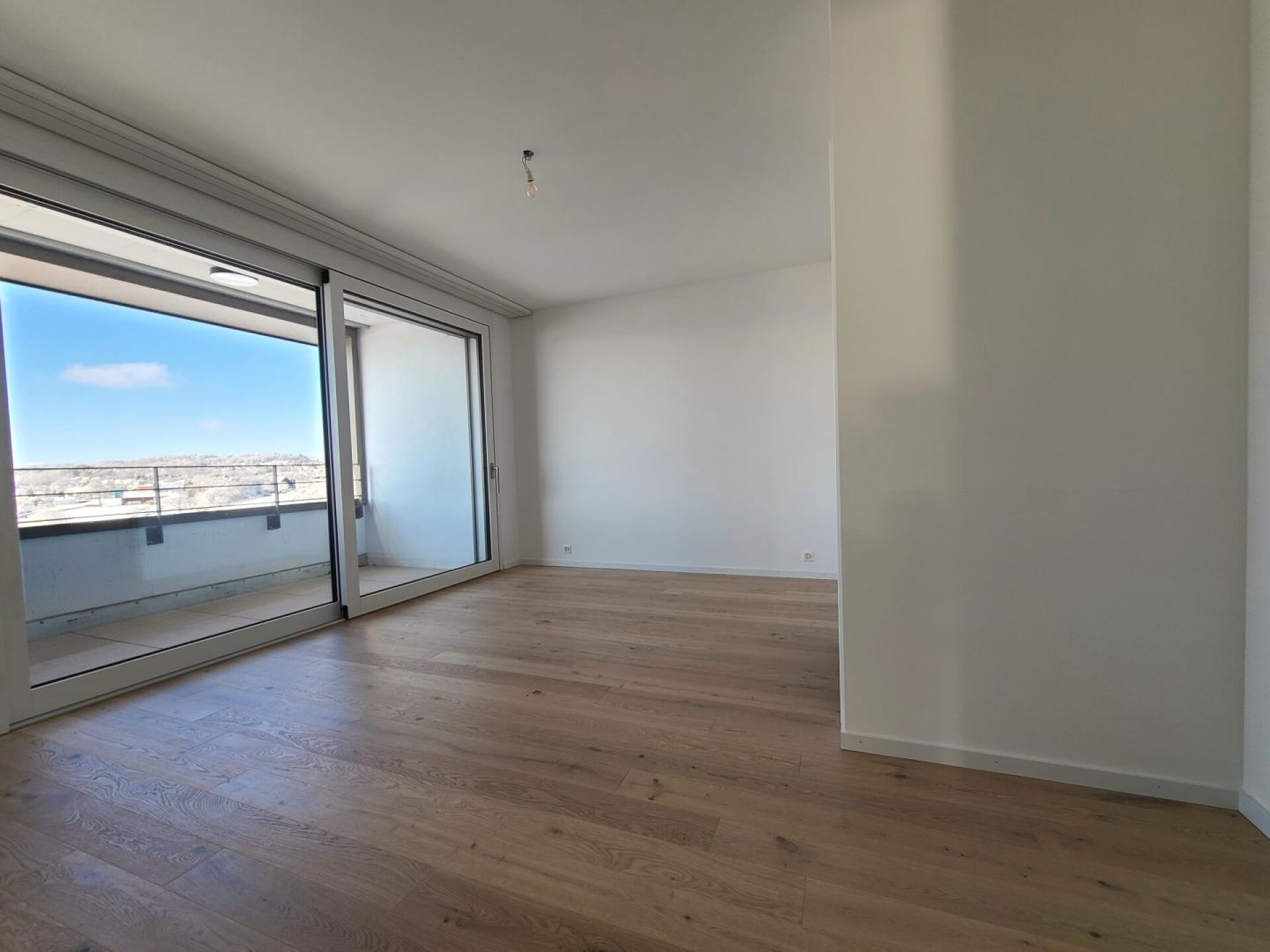 Leerer Wohnraum mit Balkon und Parkett