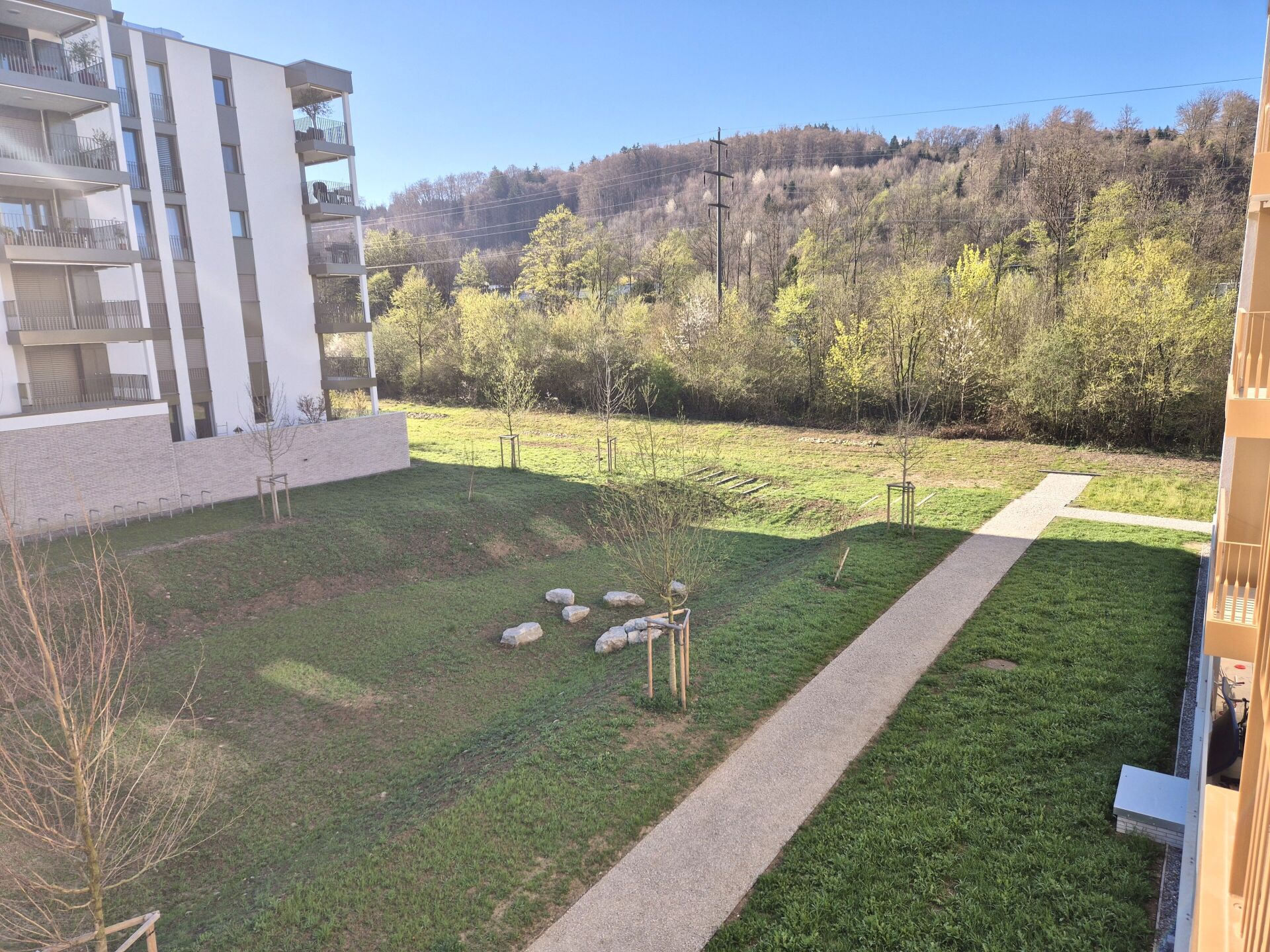 Blick auf gemeinschaftliche Grünanlage zwischen Wohnhäusern
