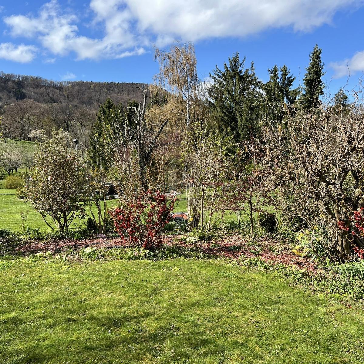FAMILIENFREUNDLICH MIT SONNIGEM GARTEN! – St. Pantaleon