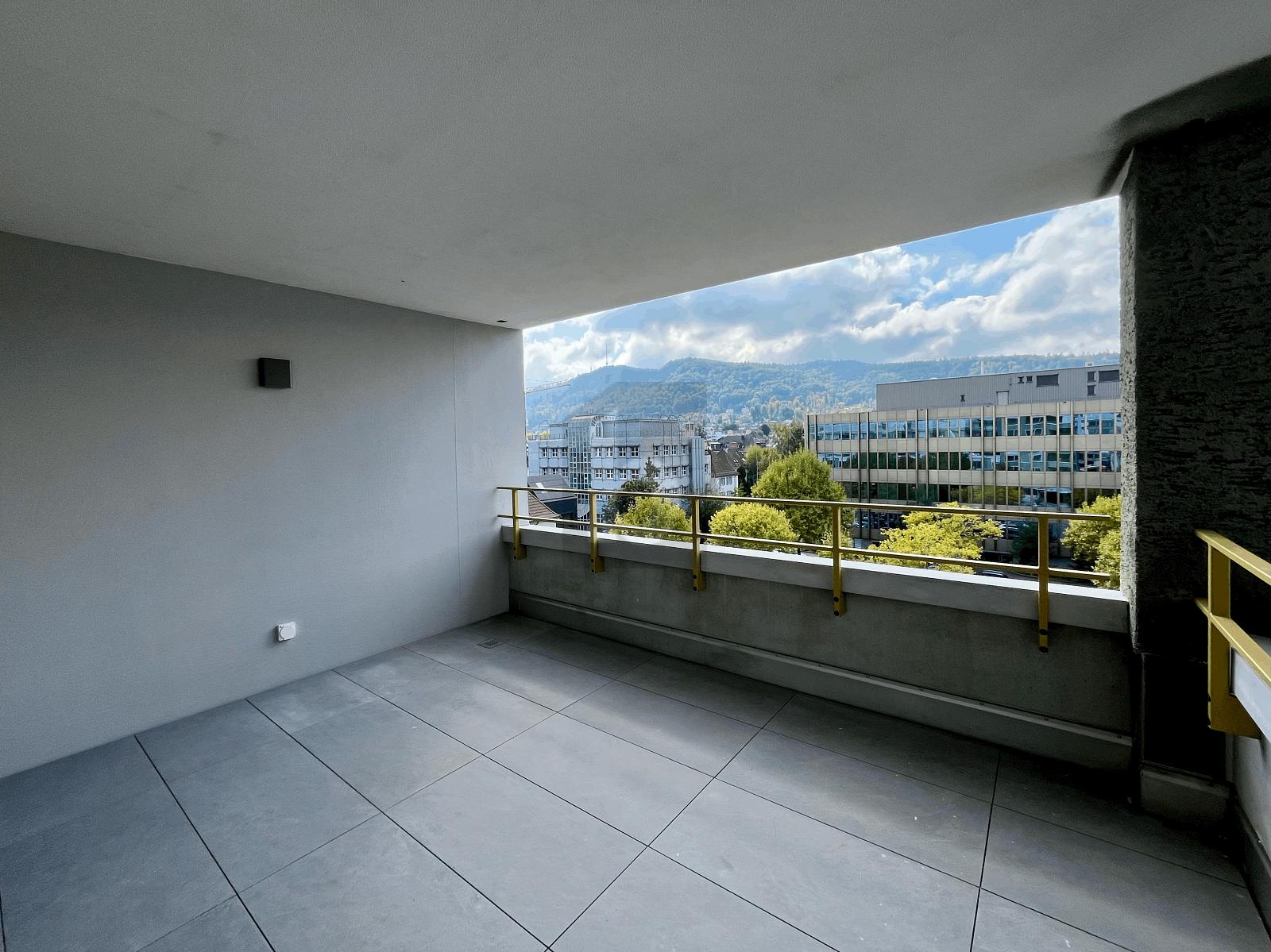 ERSTBEZUG: GROSSER BALKON, SICHT AUF DEN ÜETLIBERG – Zürich
