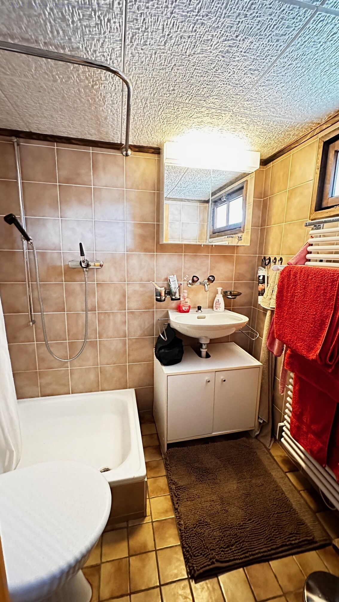 Kleines Badezimmer mit Dusche und Waschbecken