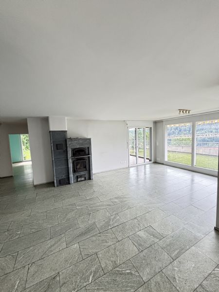 Großer leerer Wohnraum mit Kamin und Panoramafenstern