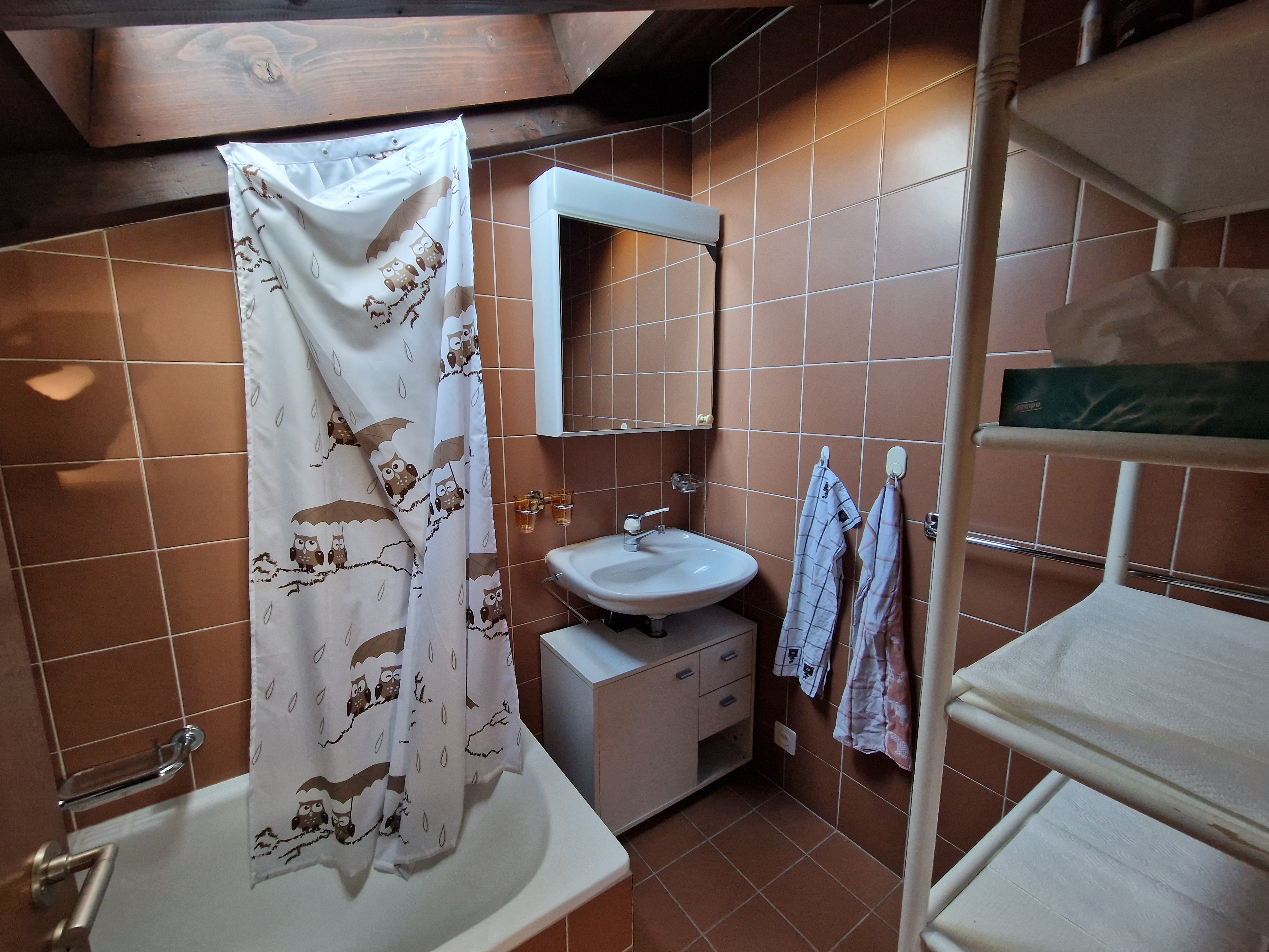 Kleines Badezimmer mit Dusche und Waschbecken