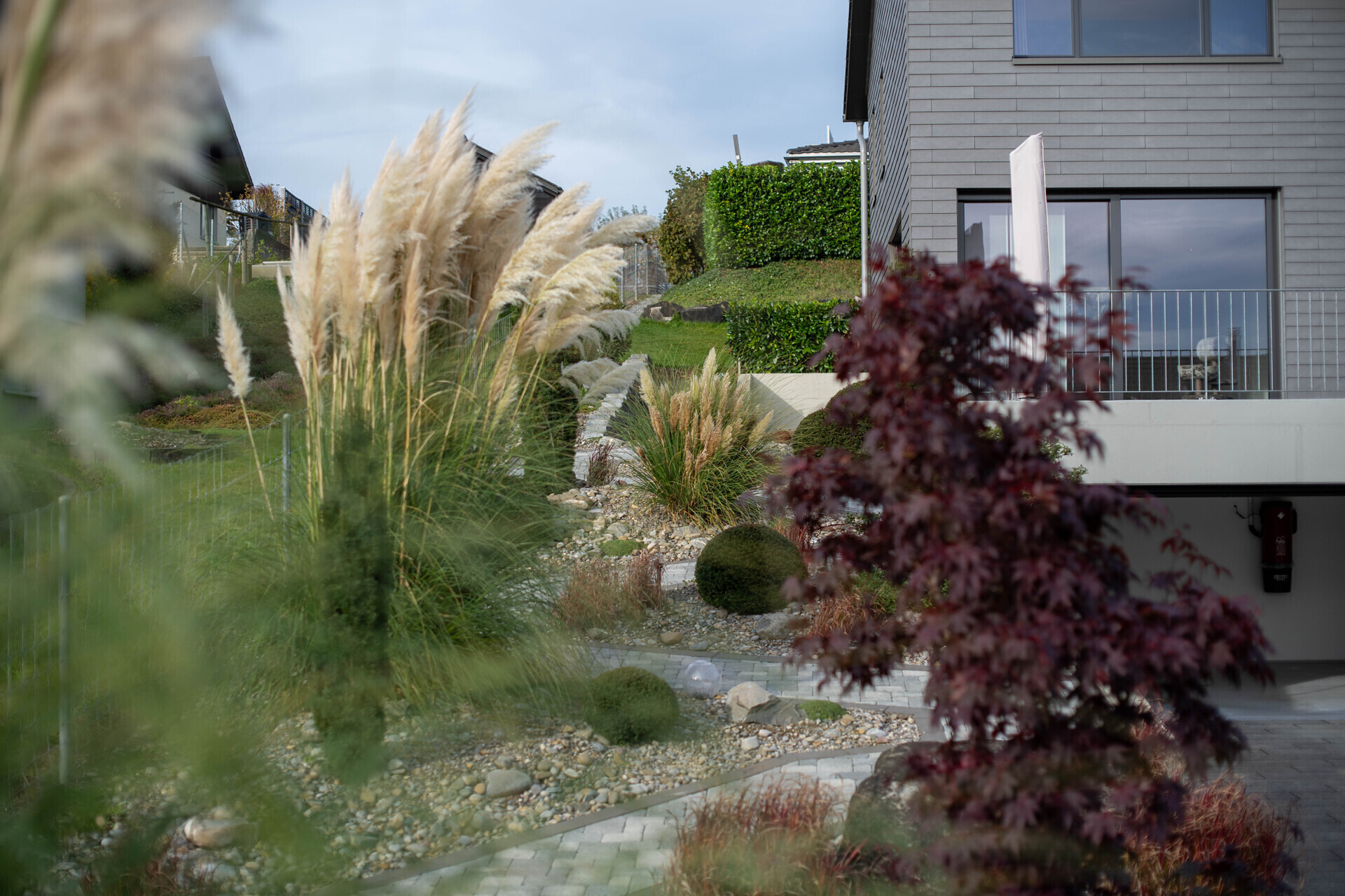Moderner Garten mit Ziergräsern vor einem Wohnhaus