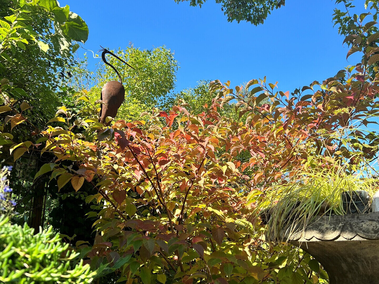 Garten mit üppiger Bepflanzung