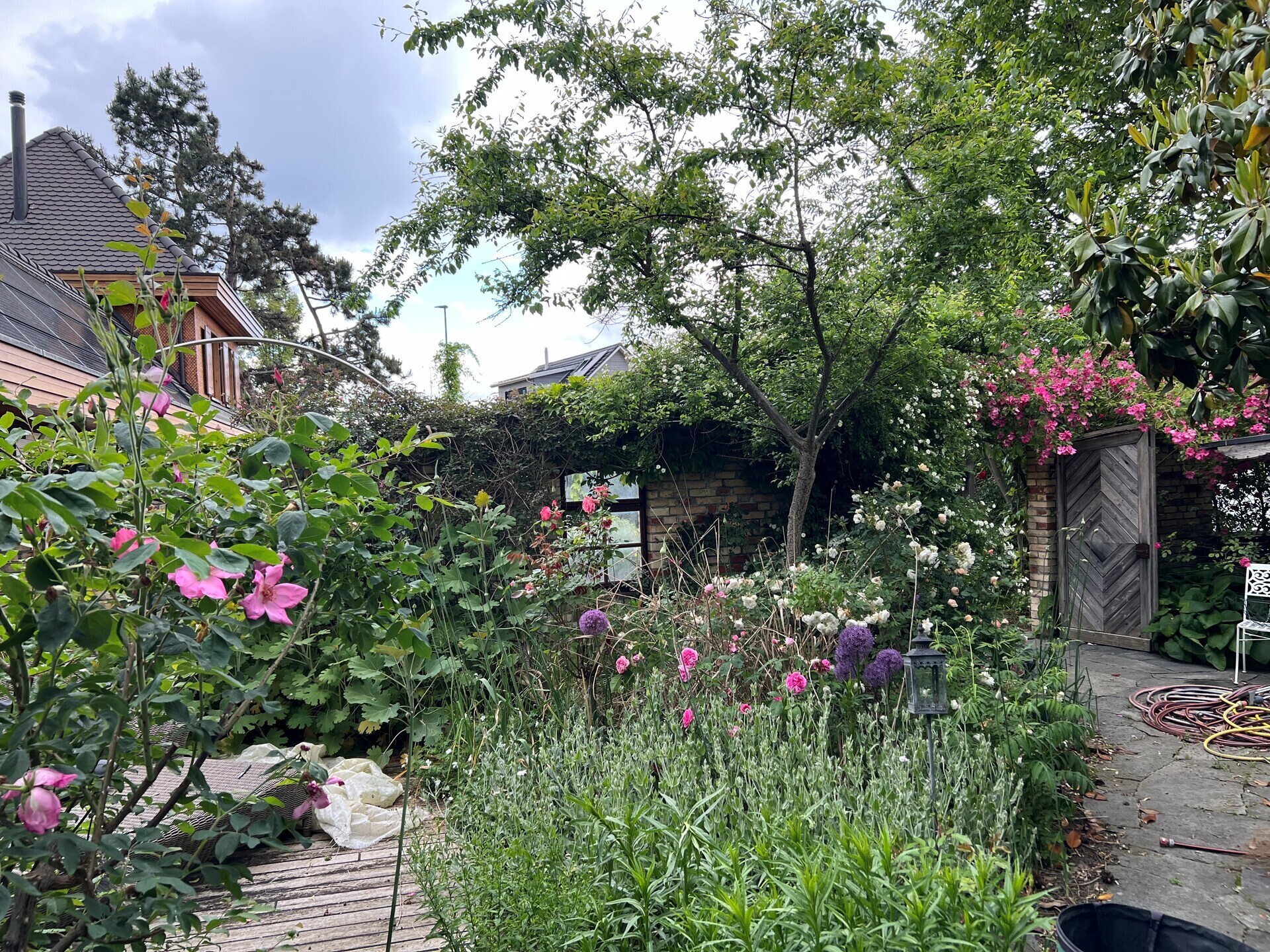Blühender Garten mit gemauertem Gartenhaus