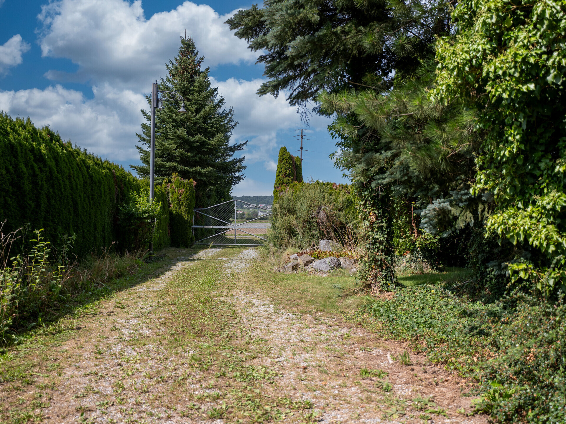 Zufahrtsweg mit Tor und Gartenbewuchs