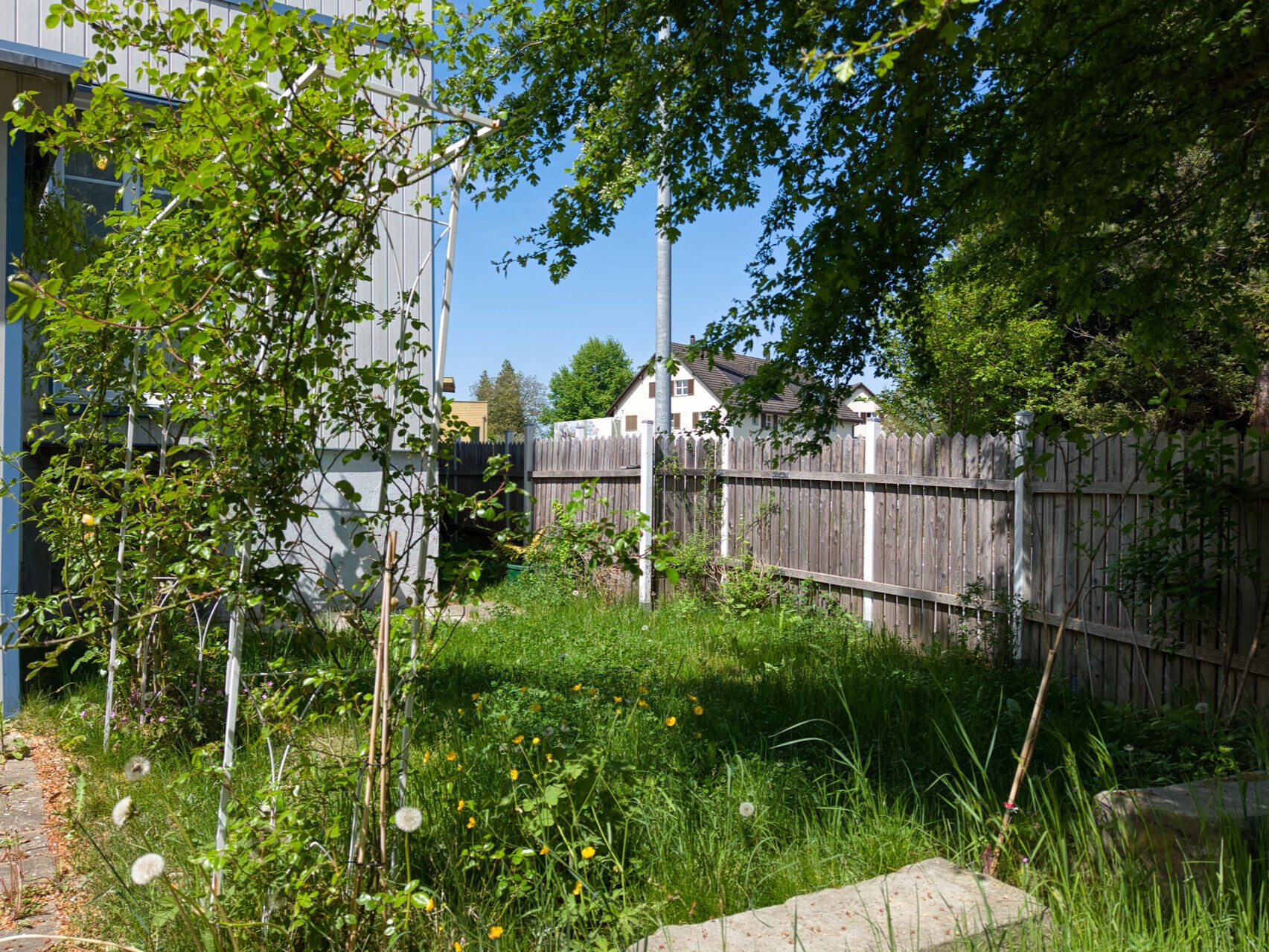 Grüner Garten mit Zaun