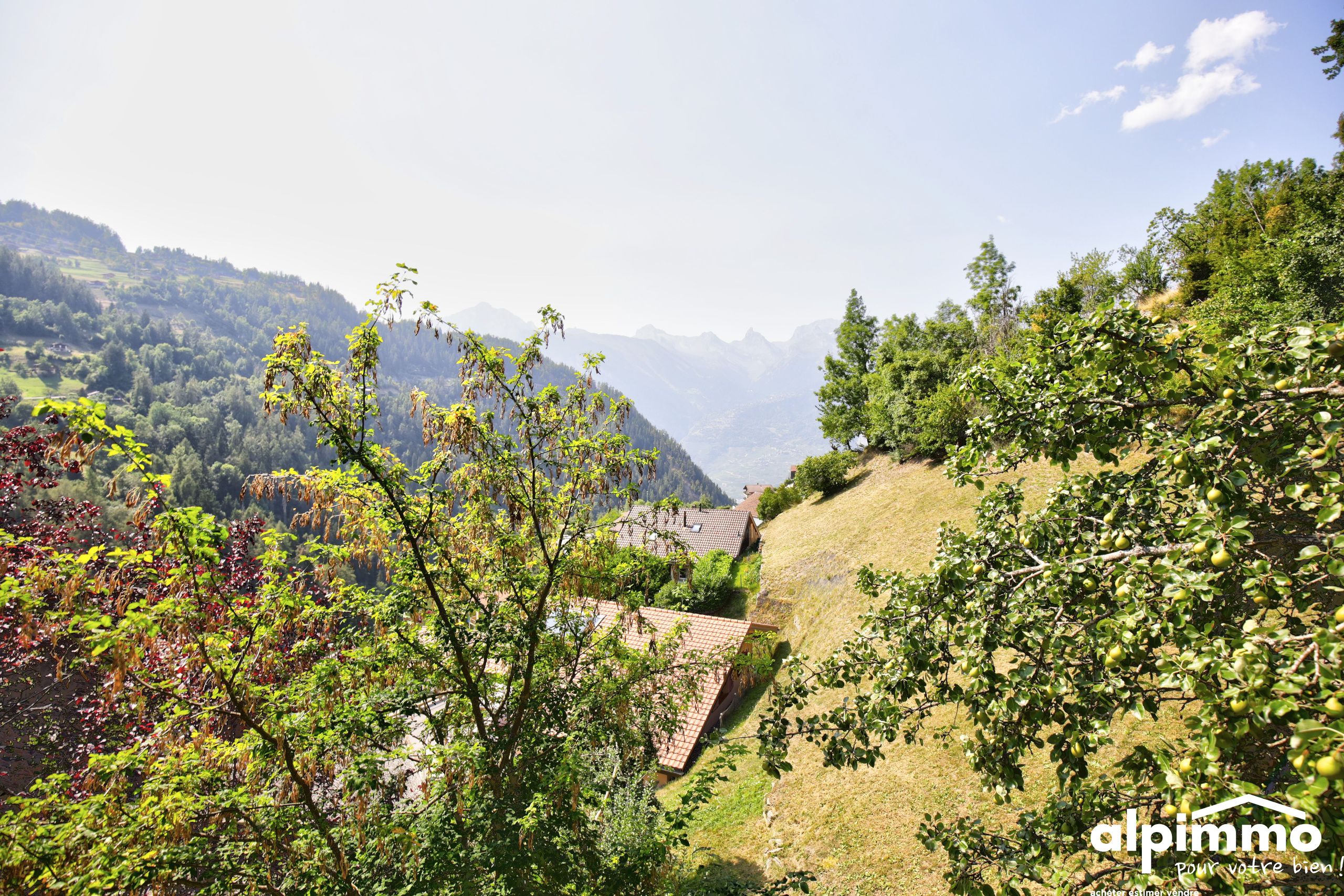 Alpenhang mit Talblick