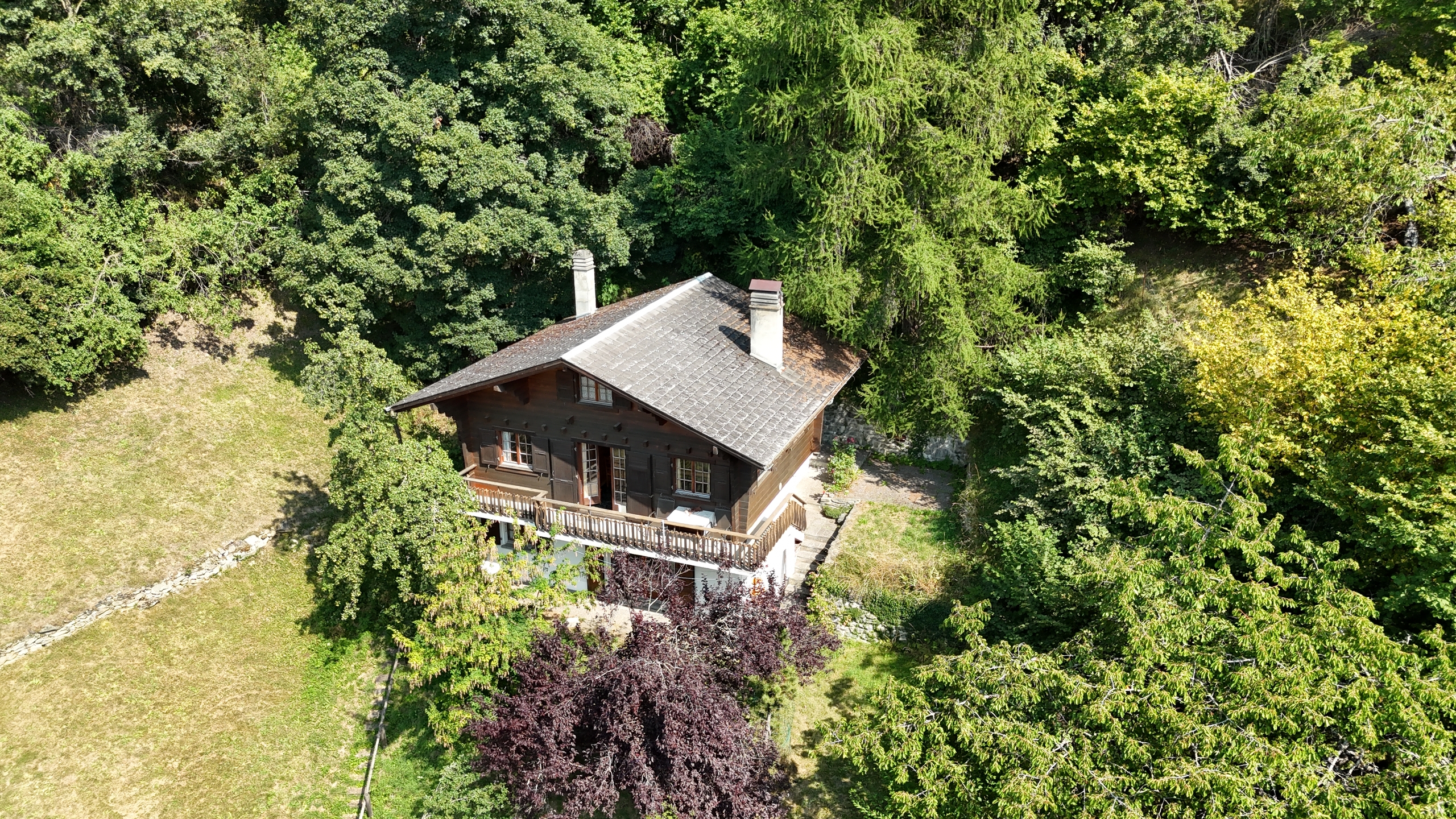 Alpenchalet im Grünen