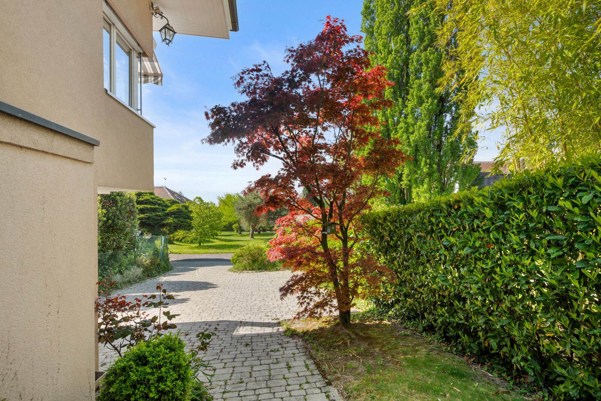 Gartenansicht mit Zufahrt und viel Grün
