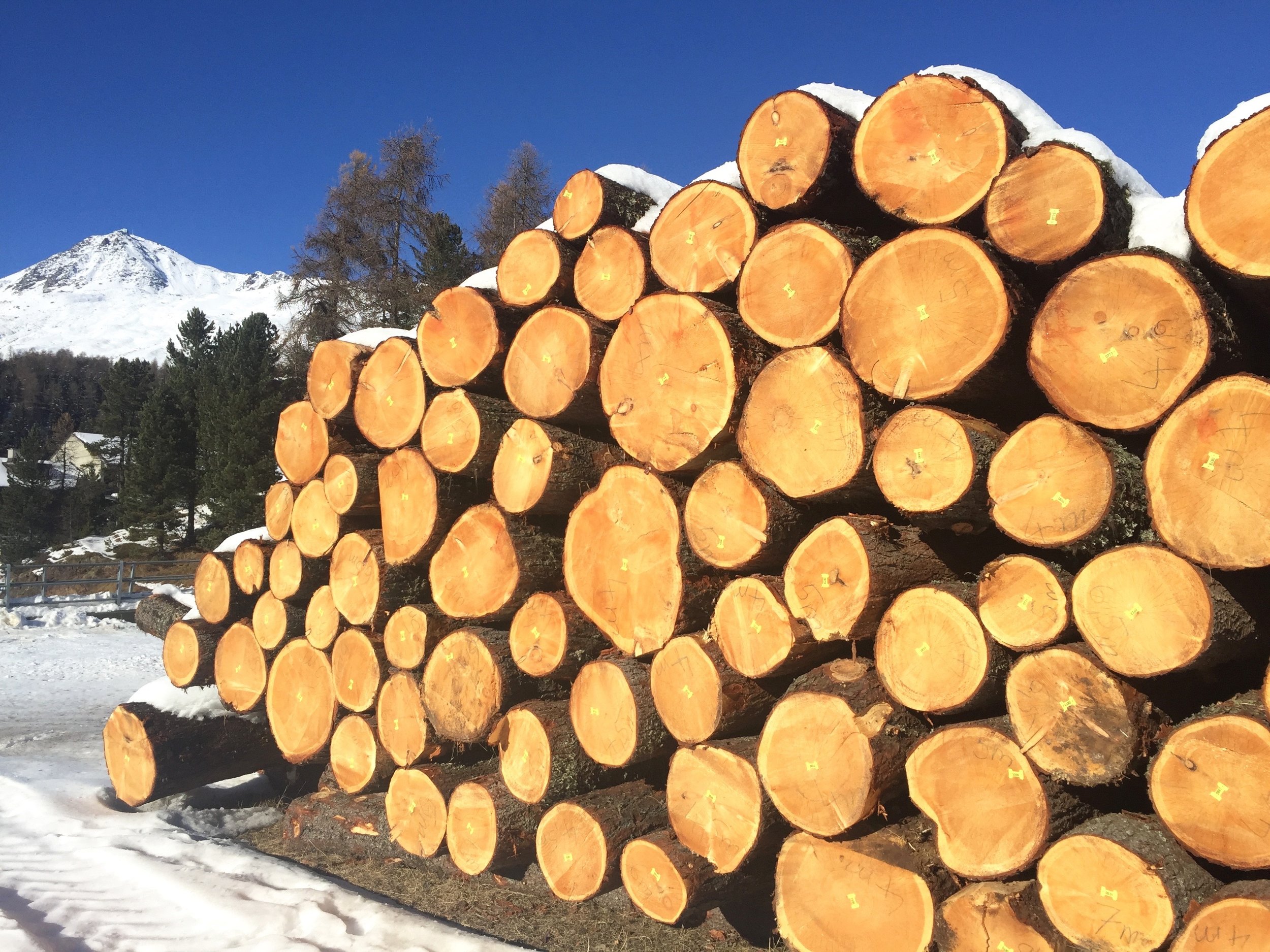 Holzstapel im Schnee vor Bergkulisse