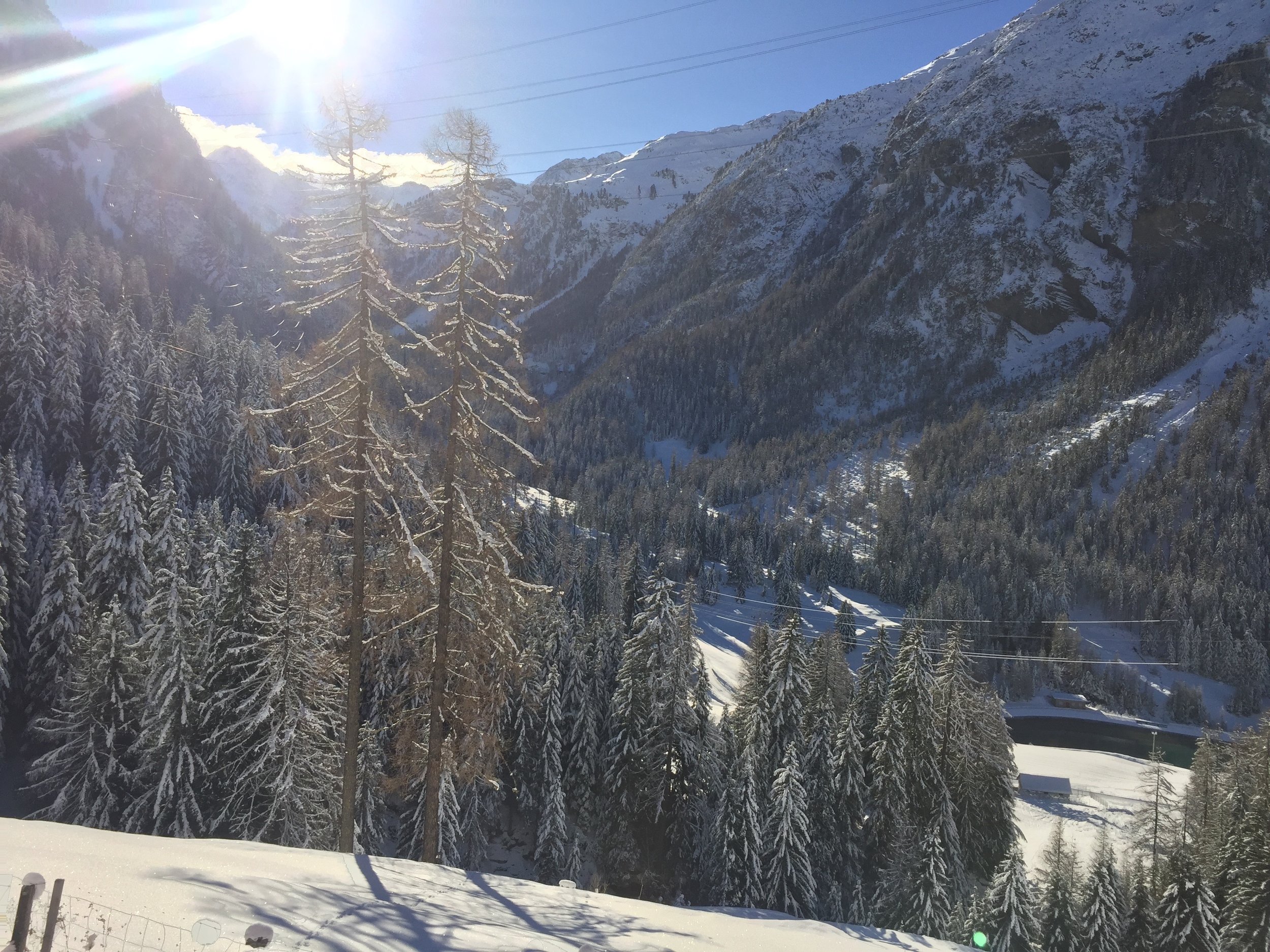 Schneebedecktes Alpenpanorama mit Waldtal