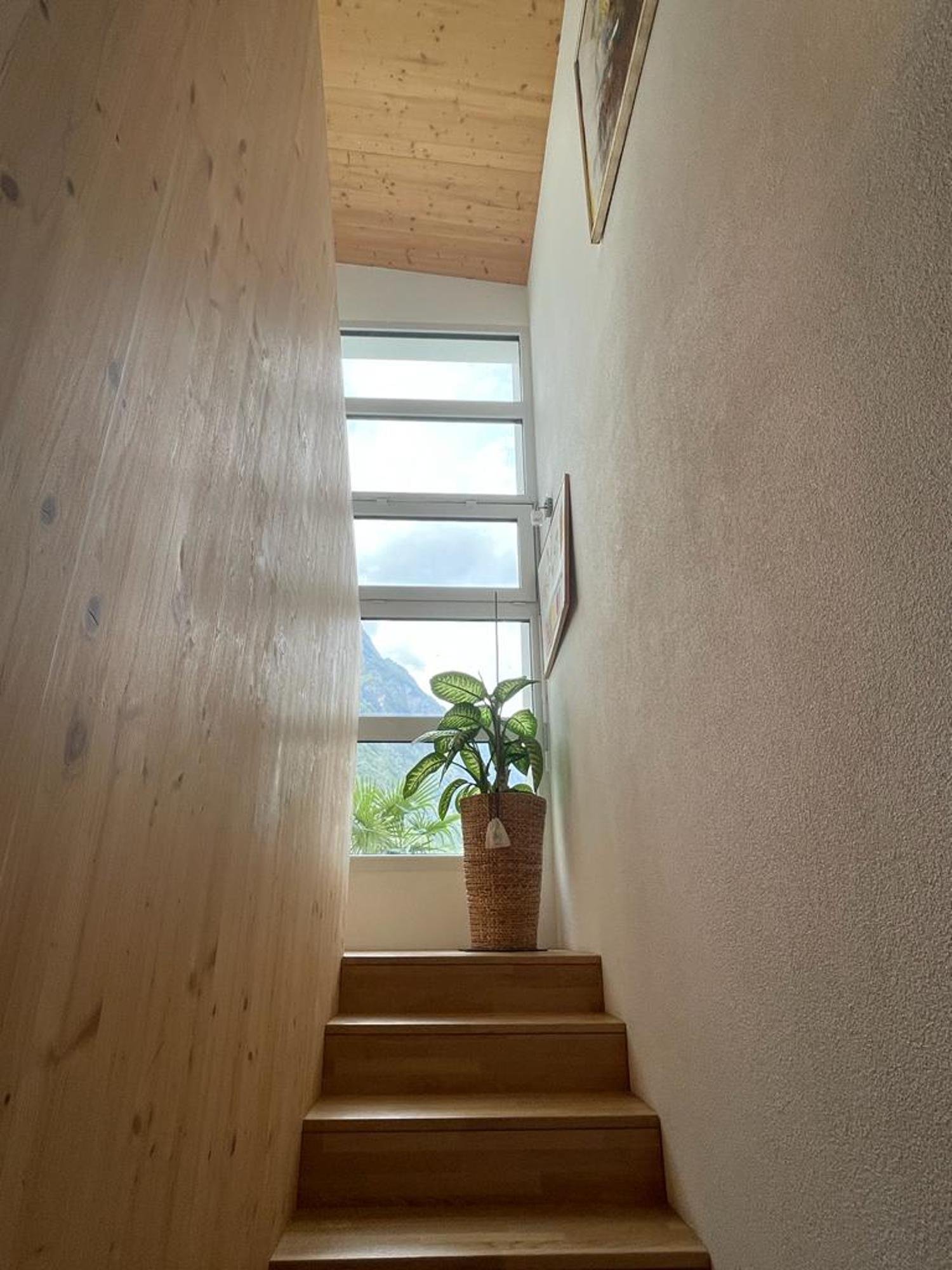 Treppenaufgang mit Fenster und Pflanzen