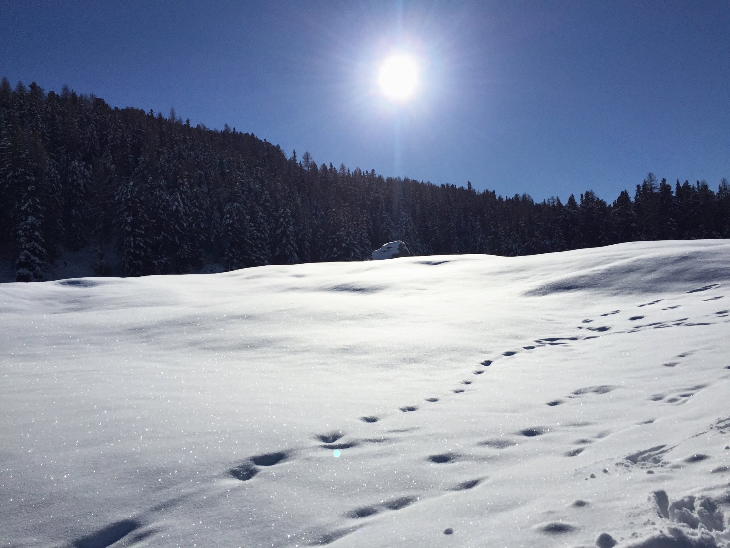 Verschneite Berglandschaft im Sonnenschein