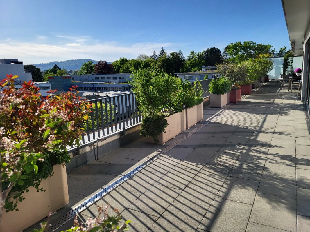 Dachterrasse mit Pflanzkübeln und Stadtblick