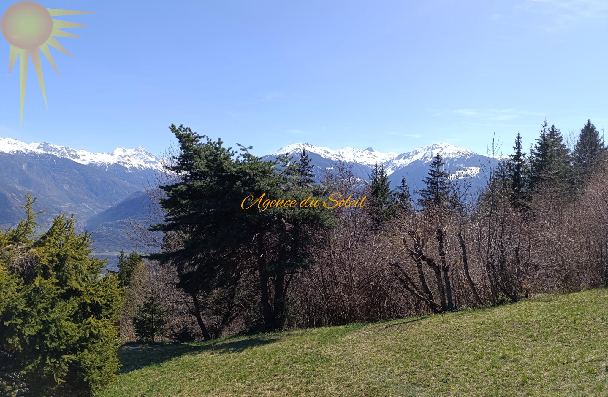 Bergpanorama mit Wald und Wiese