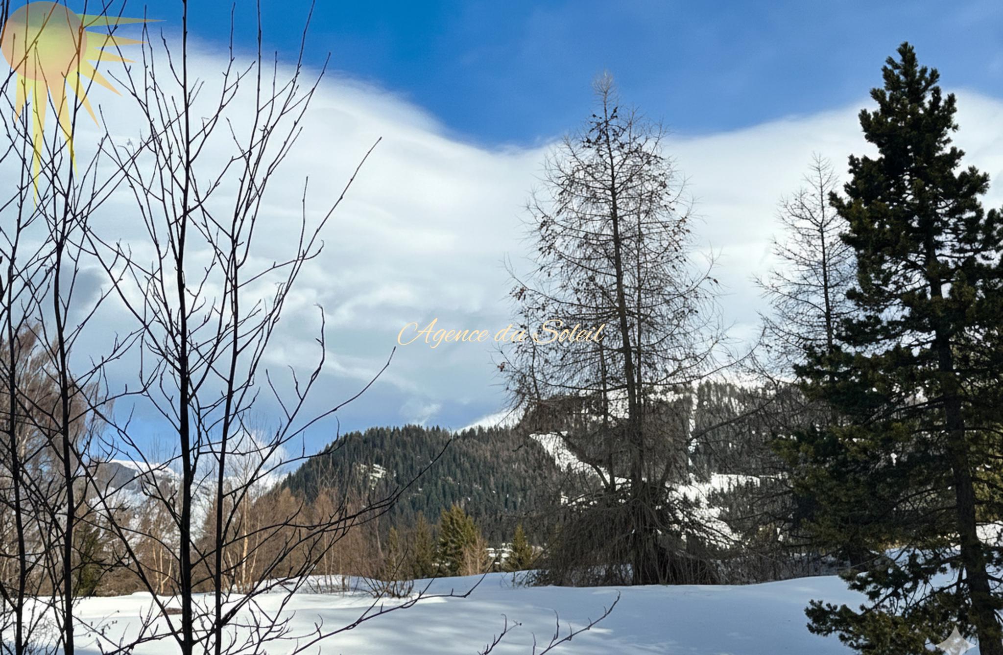 Winterlandschaft mit Bergen und Bäumen