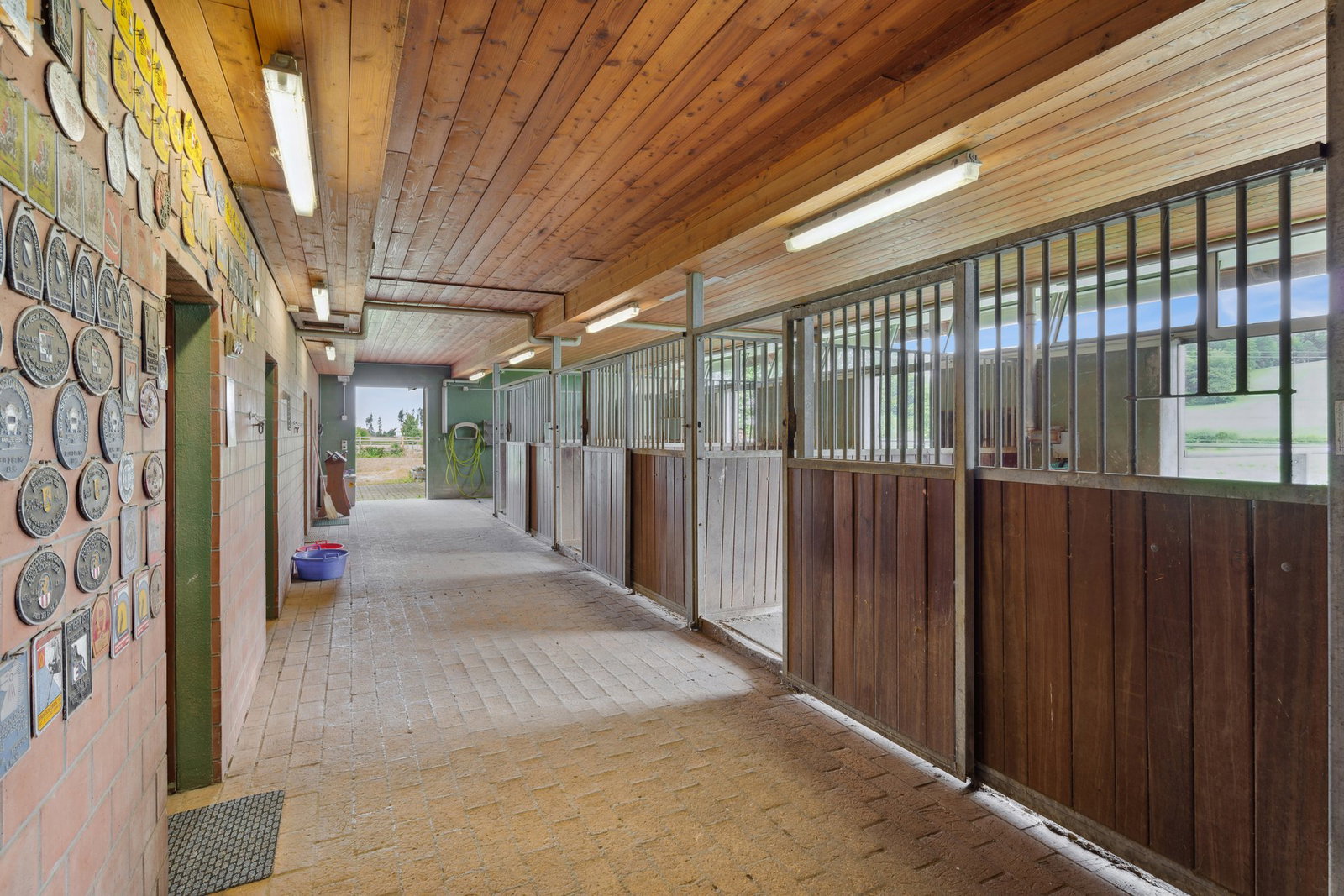Stallgang mit Pferdeboxen