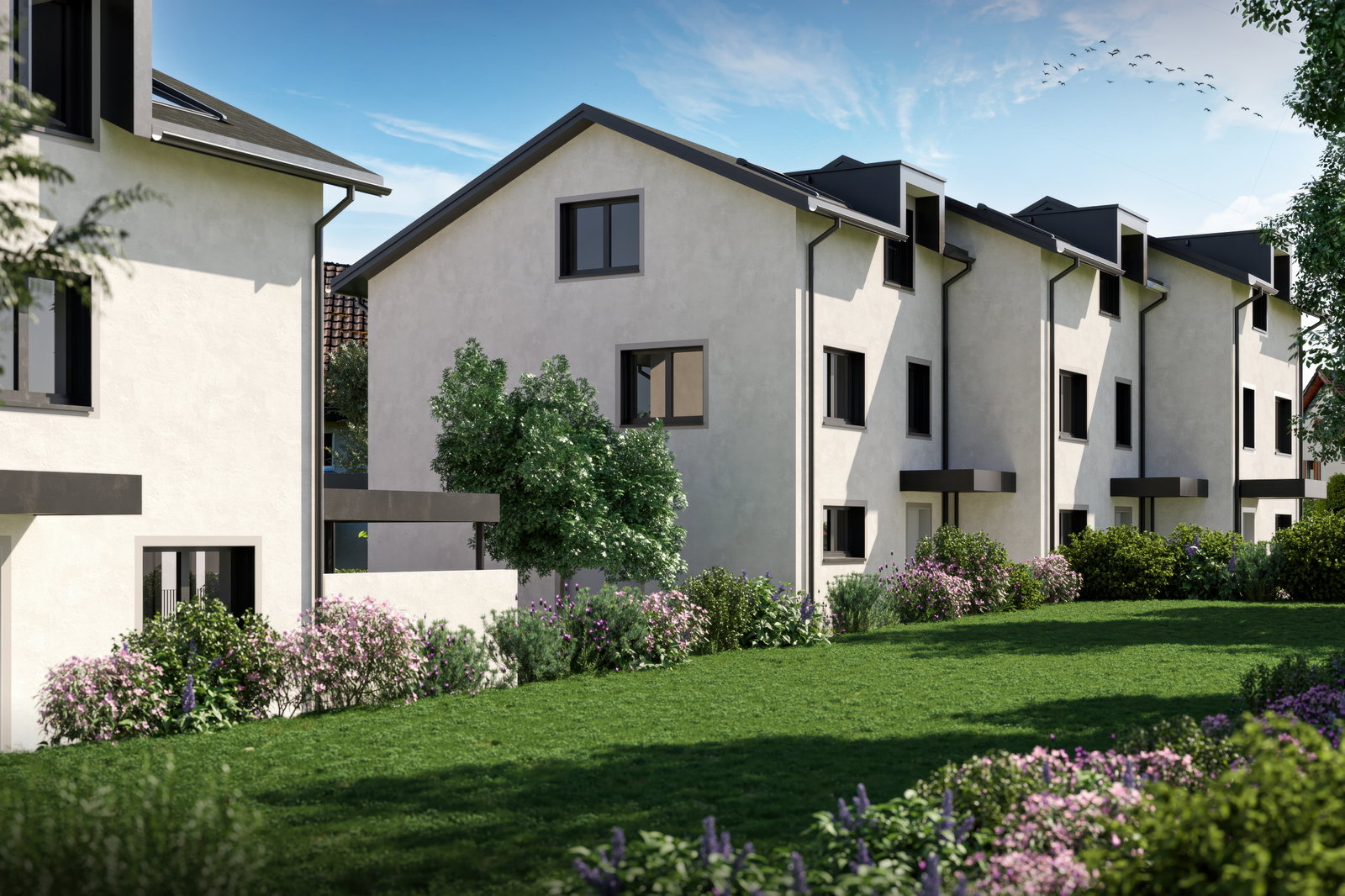 Mehrere moderne Reihenhäuser mit Garten