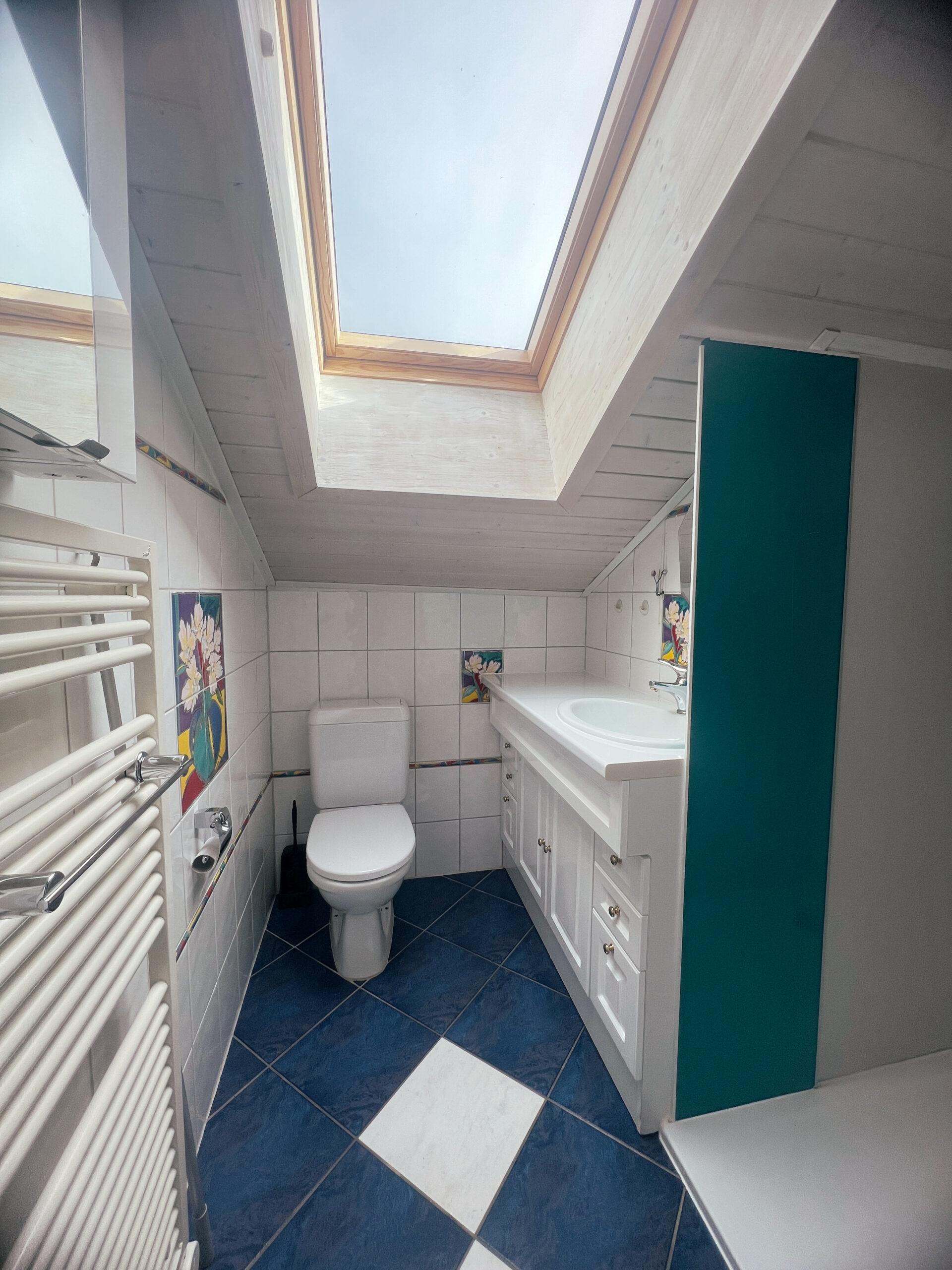 Dachgeschoss-Gäste-WC mit Dachfenster