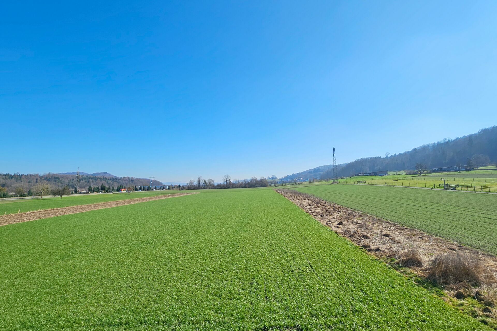 Ländliche Wiesen- und Feldlandschaft