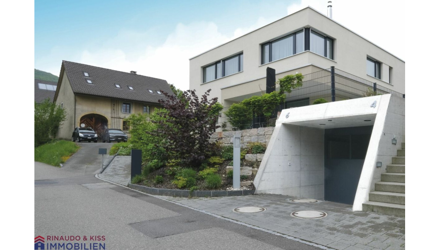 Moderne Wohnbebauung mit Einfahrt und Garagenzufahrt