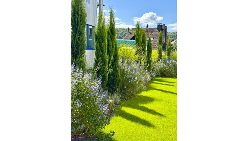 Pflegeleichter Garten mit Nadelgehölzen