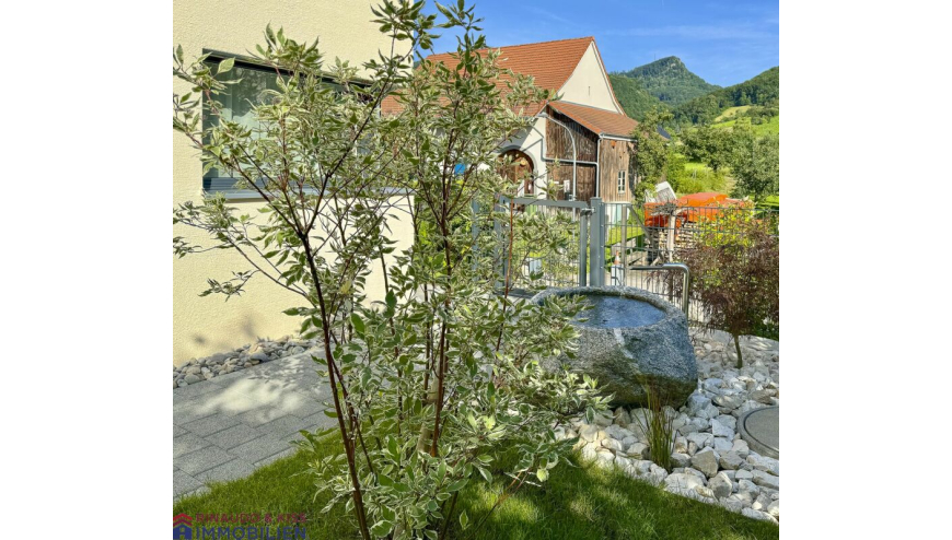 Garten mit Steinbrunnen und Hausansicht