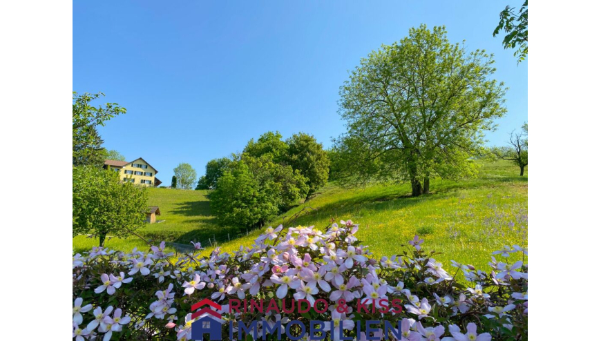 Ländliche Grünlandschaft mit Haus im Hintergrund