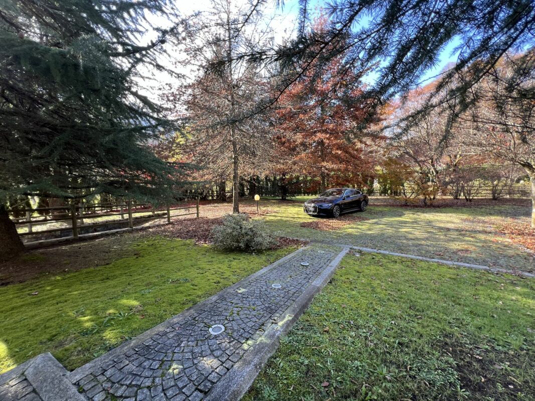 Großer Garten mit Fahrzeug
