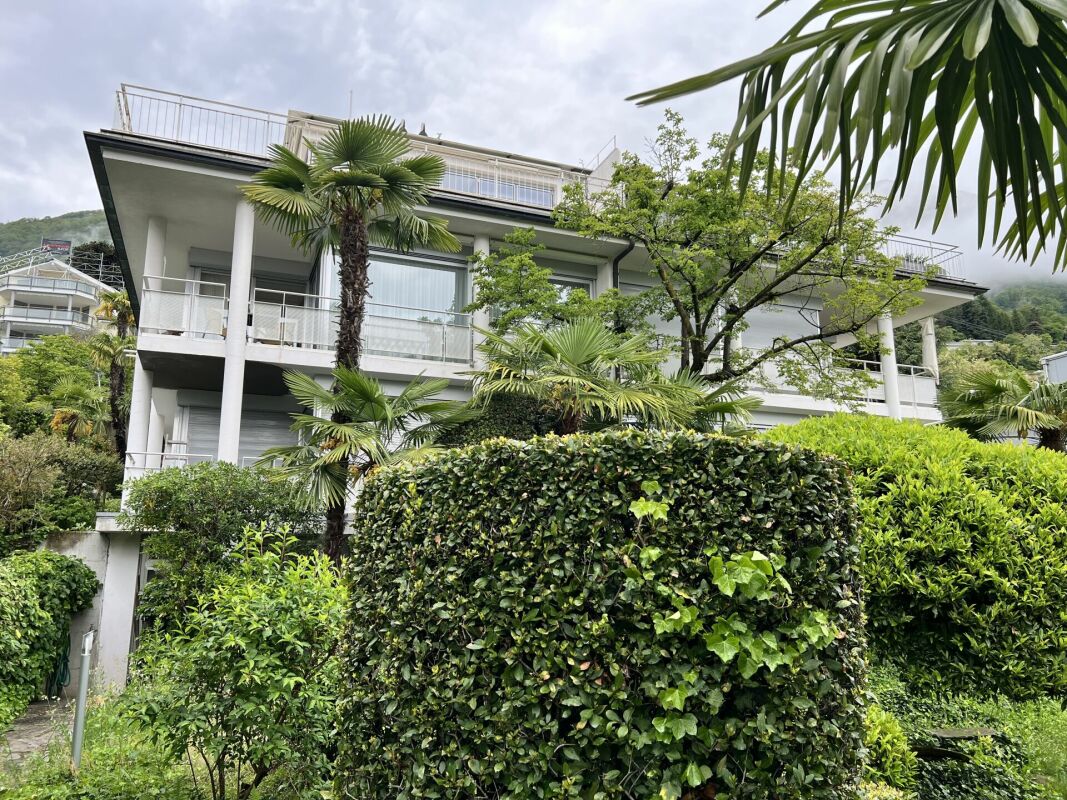Modernes weißes Villenhaus im Grünen