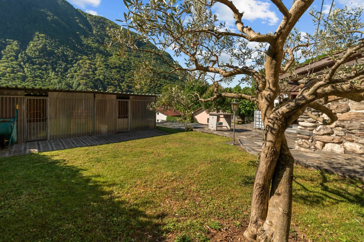 Garten mit Bergblick