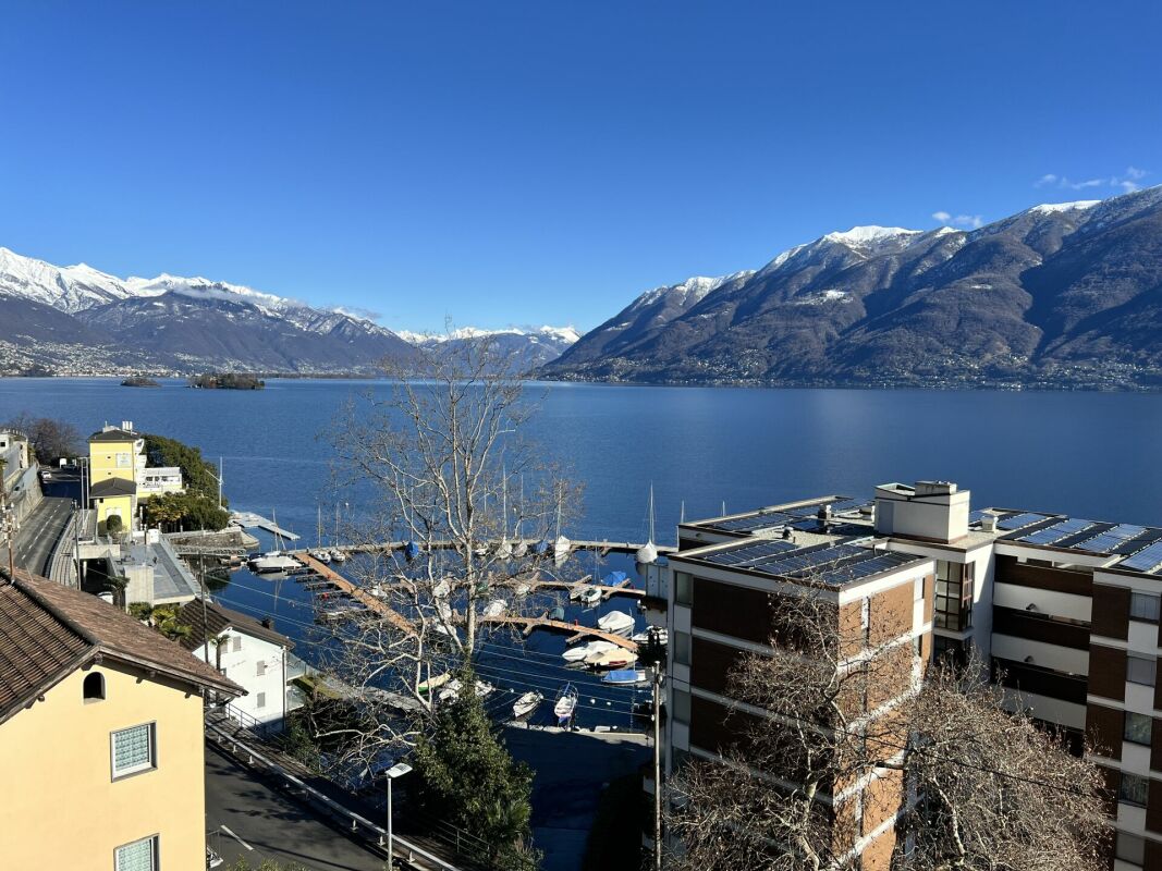 Seeblick mit Alpenpanorama