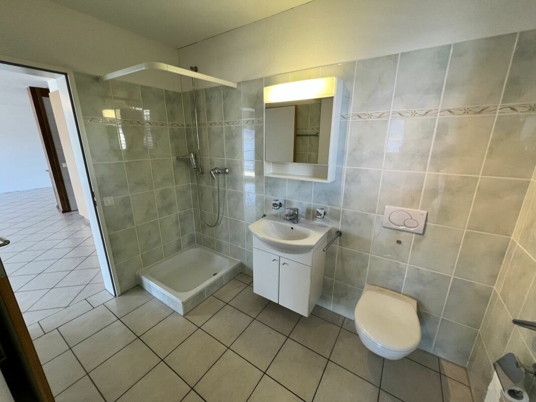 Badezimmer mit Dusche, Waschbecken und WC