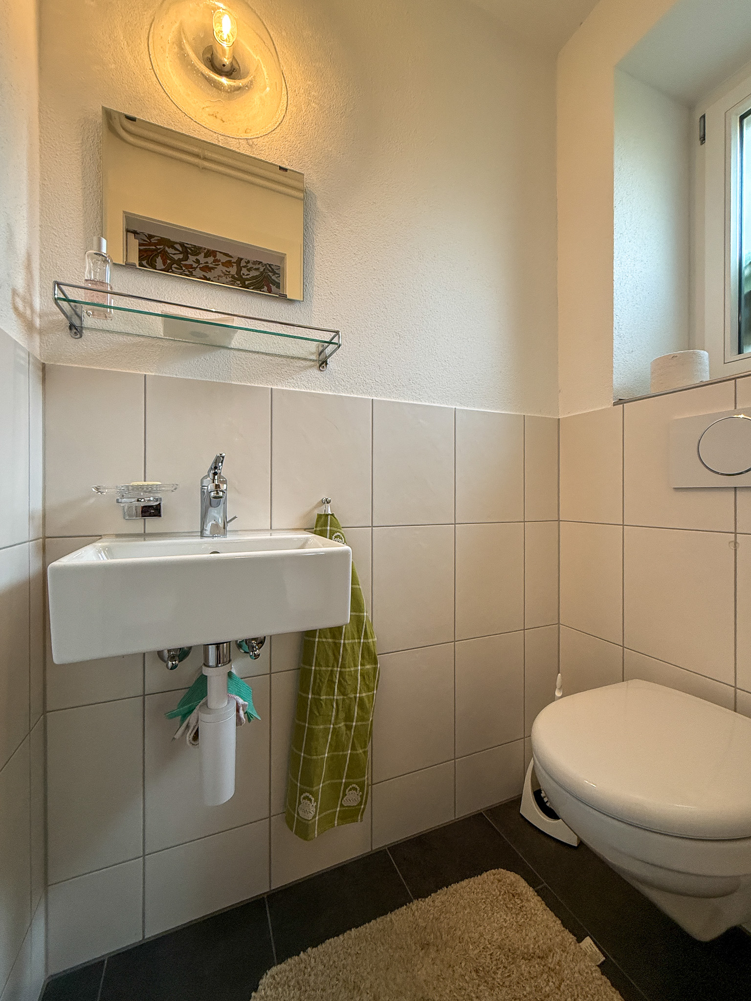 Gäste-WC mit Wand-WC und Handwaschbecken