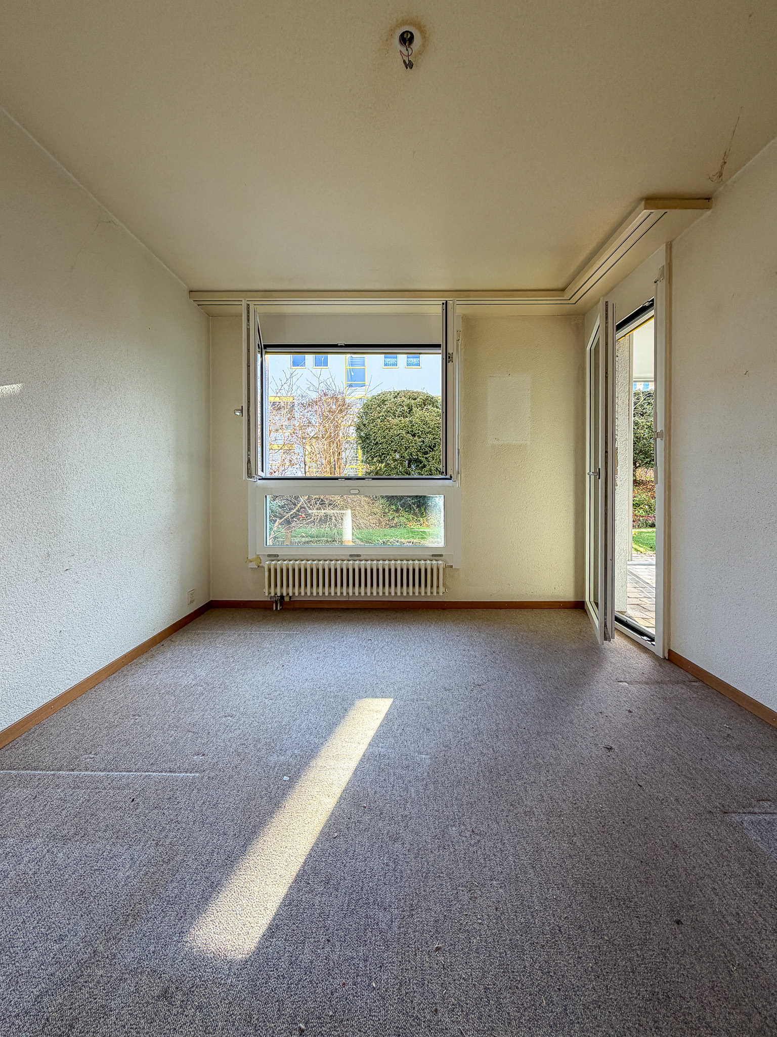 Leerer Raum mit Teppichboden und Fensterfront