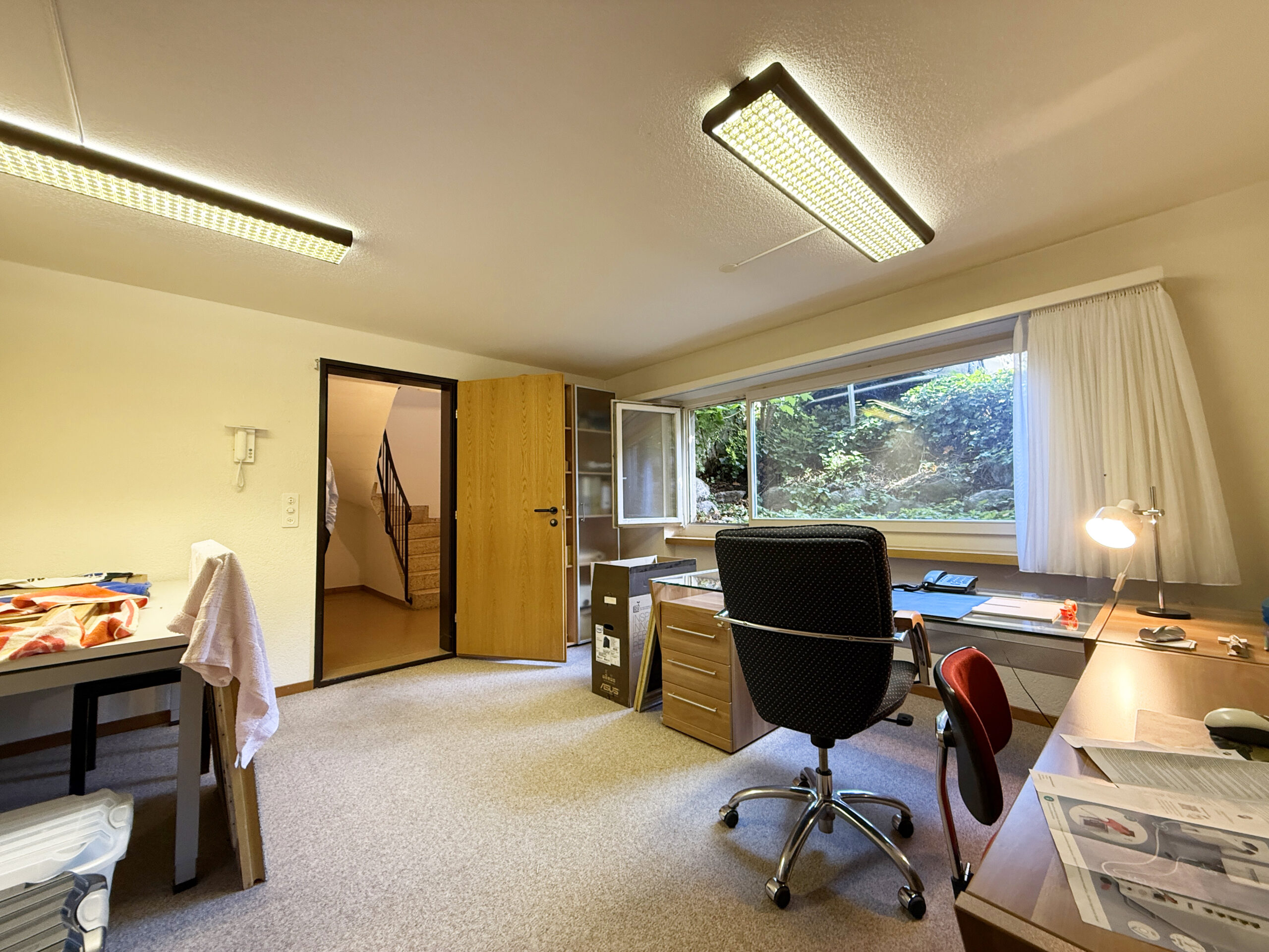 Arbeitszimmer mit Blick ins Grüne