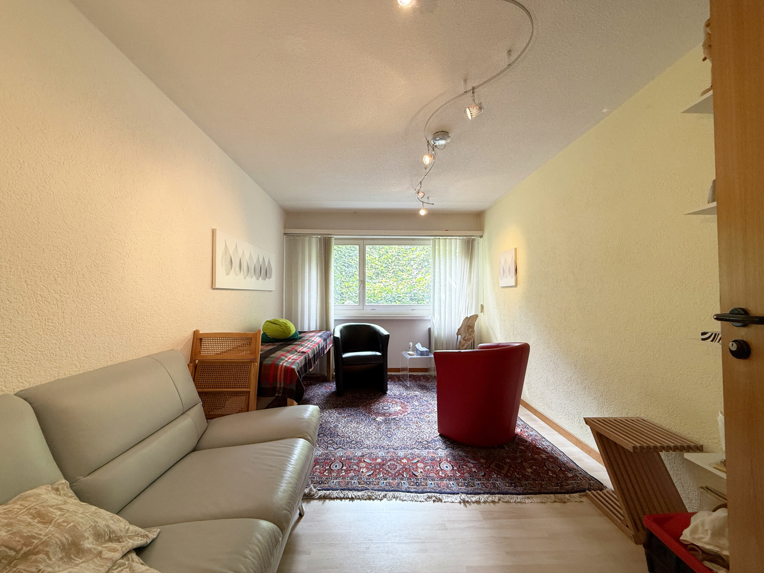 Schmales, möbliertes Wohnzimmer mit Fenster zum Grün