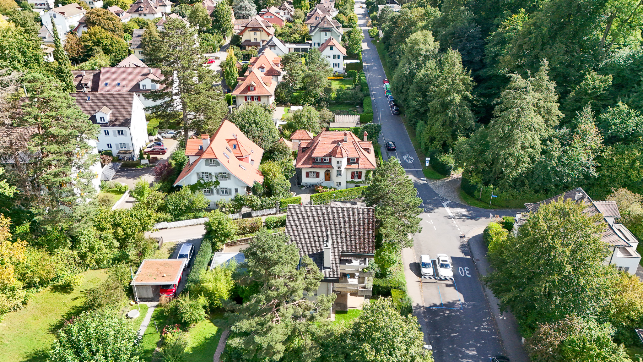 Luftaufnahme eines grünen Wohnviertels
