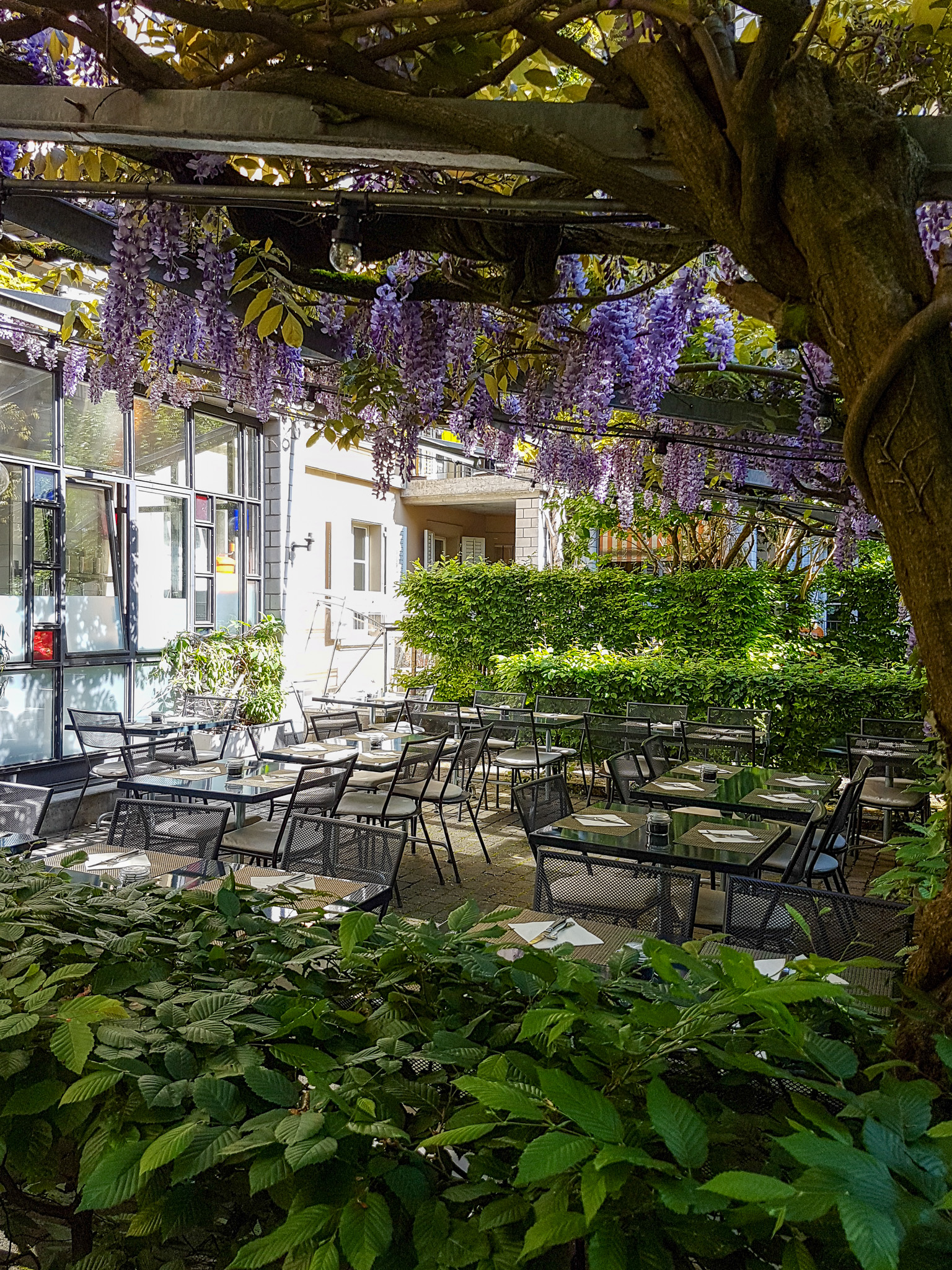 Bewachsene Außenterrasse eines Restaurants