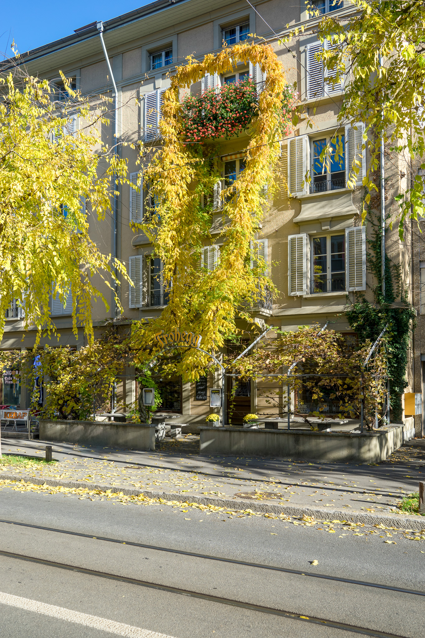 Historisches Wohn- und Geschäftshaus mit begrüntem Straßenfrontbereich
