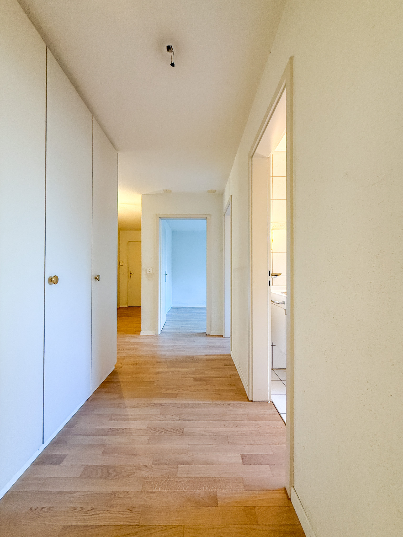 Heller Flur mit Holzboden