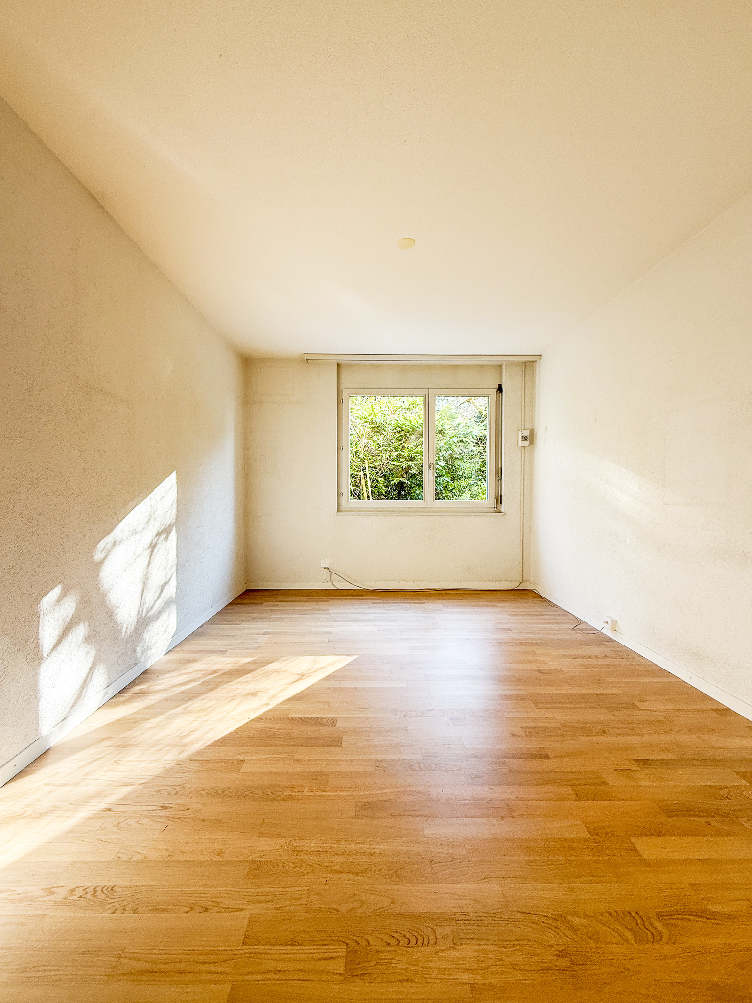 Helles, leeres Zimmer mit Holzboden und Fenster zum Grünen