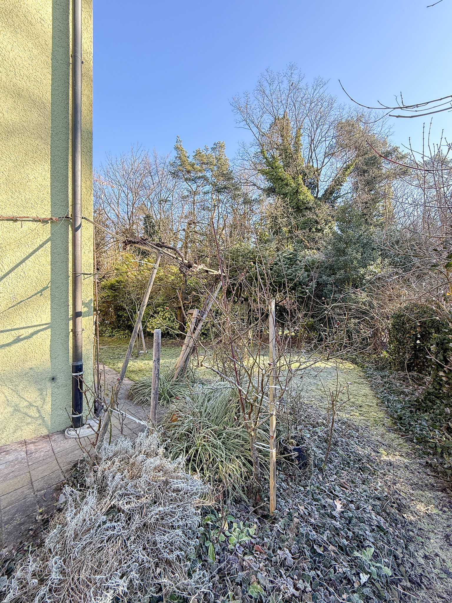 Gartenansicht neben einem Gebäude